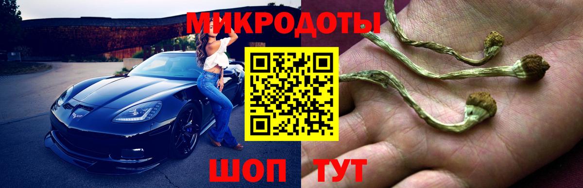 Псилоцибиновые грибы Cubensis Мичуринск